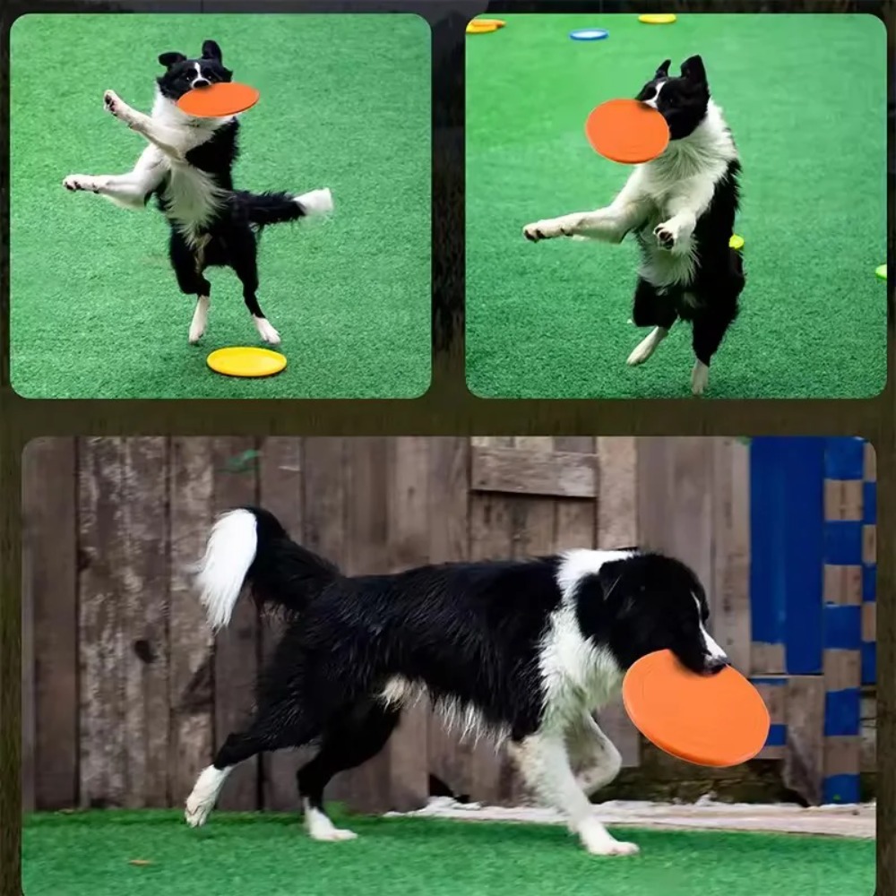 Flying Disc Dog Training Toy - Dog Flying Disc TPR Pet Toy