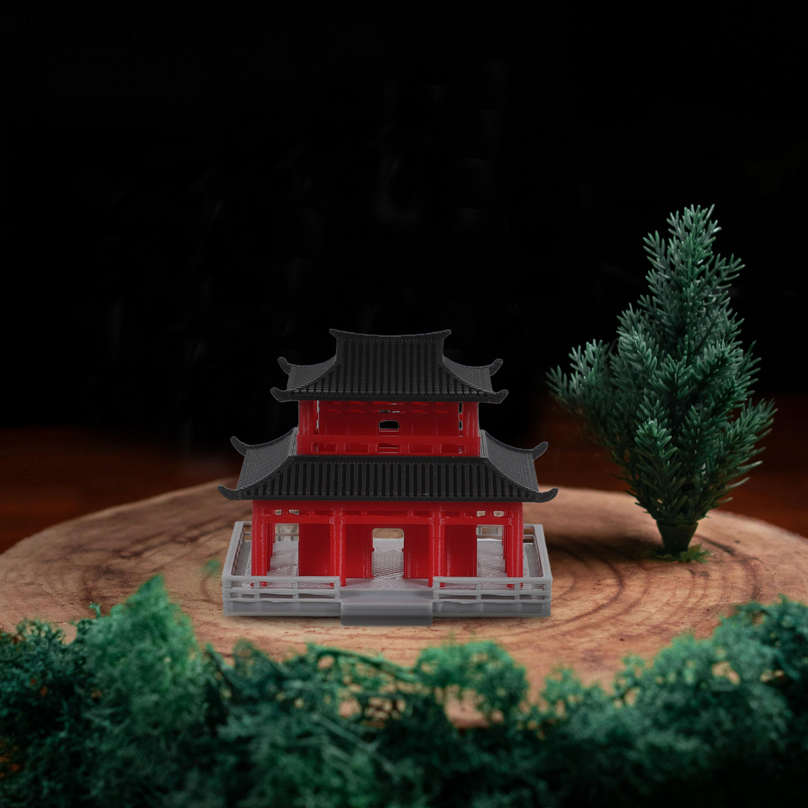 Ancient Chinese Black Red Pavi - Aquarium ulasan dan harga