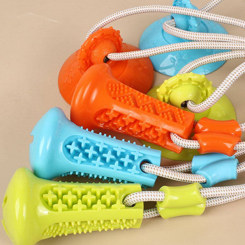 Suction Cup Dog Chew Toy Inter - Suction Cup Dog Tug Toy ulasan dan harga