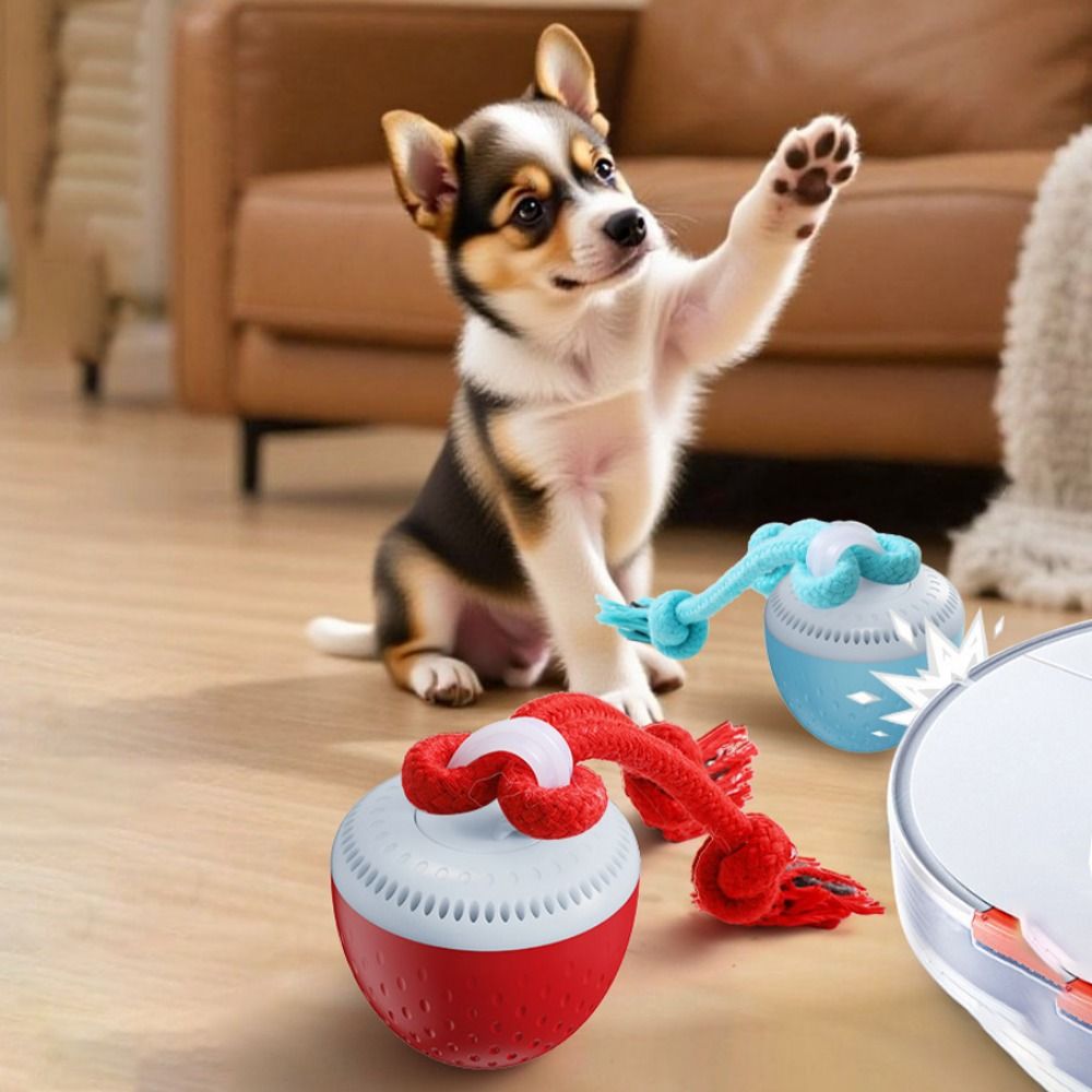 Bite Resistant Smart Pet Toy B - Automatic Moving Dog Ball ulasan dan harga
