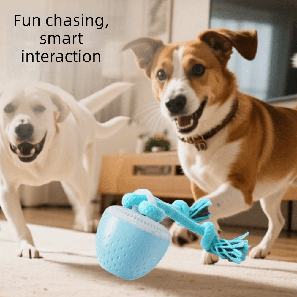 Bite Resistant Smart Pet Toy B - Automatic Moving Dog Ball ulasan dan harga
