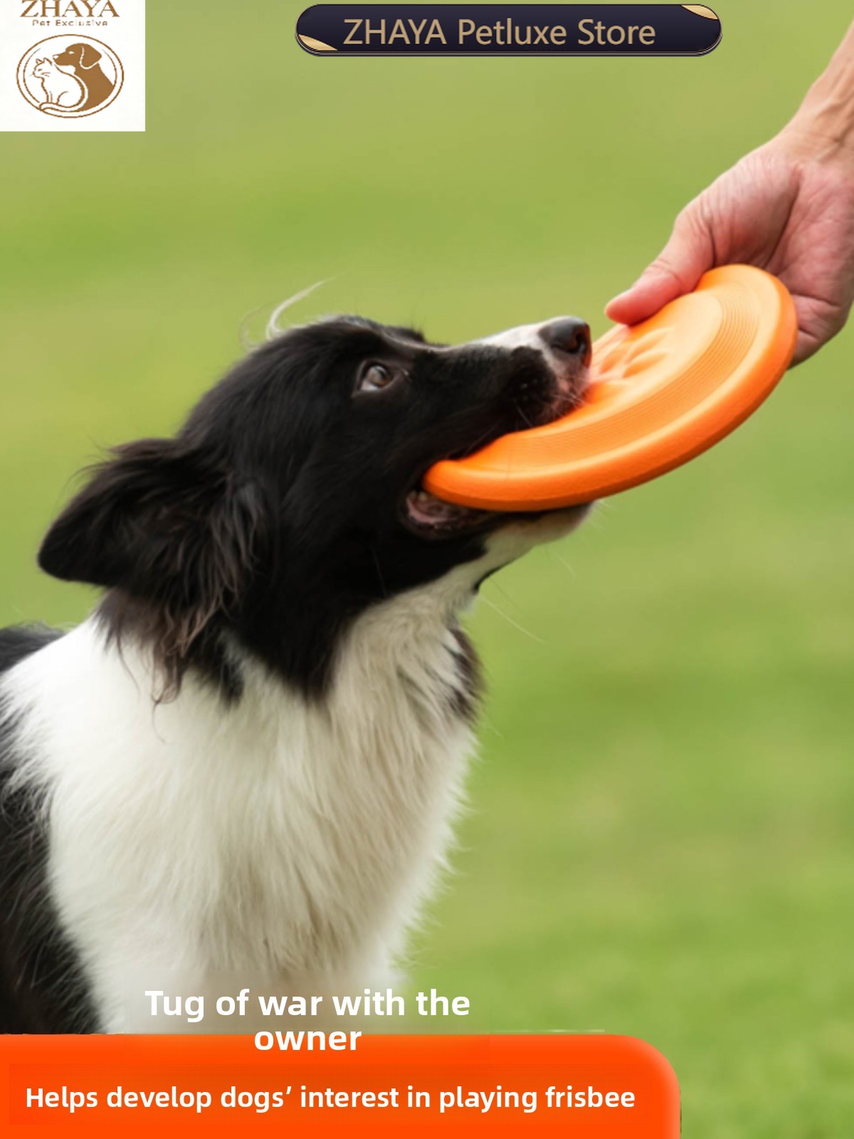 Dog Flying Disc Soft Durable B - Flying Disc Dog Training Toy ulasan dan harga