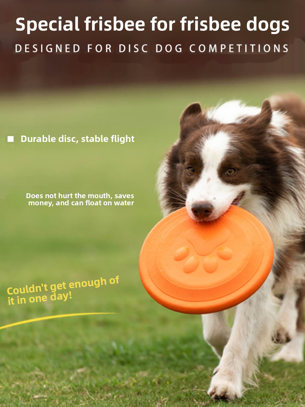 Dog Flying Disc Soft Durable B - Flying Disc Dog Training Toy ulasan dan harga