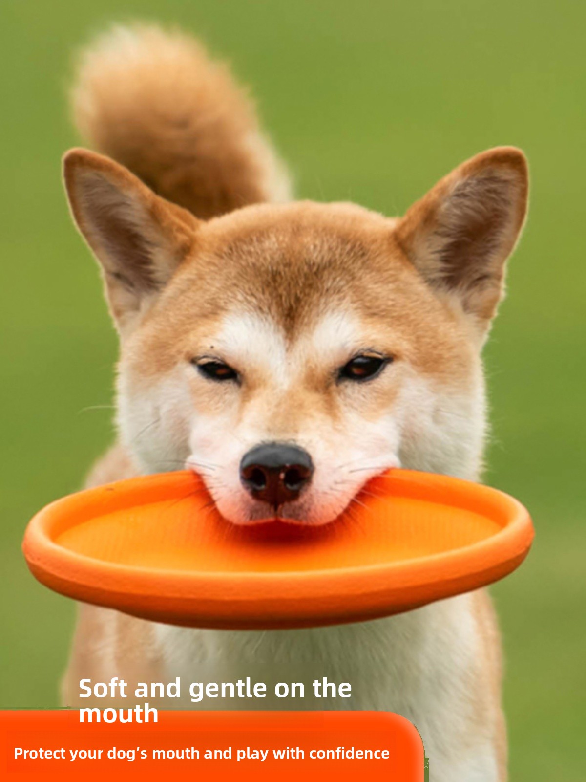 Dog Flying Disc Soft Durable B - Flying Disc Dog Training Toy ulasan dan harga