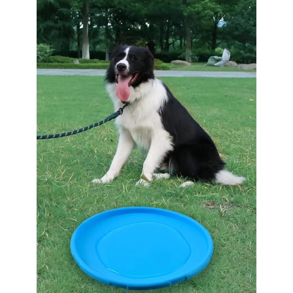 Dog Flying Disc TPR Pet Toy In - Flying Disc Dog Training Toy ulasan dan harga