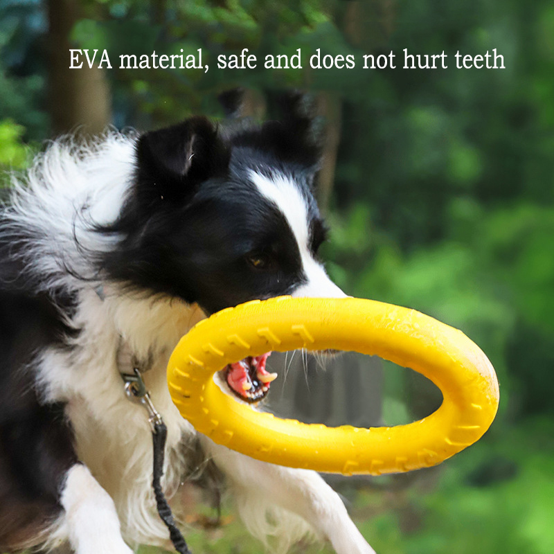 EVA Durable Dog Toys 4 Pack  F - Indestructible Dog Chew Toy ulasan dan harga