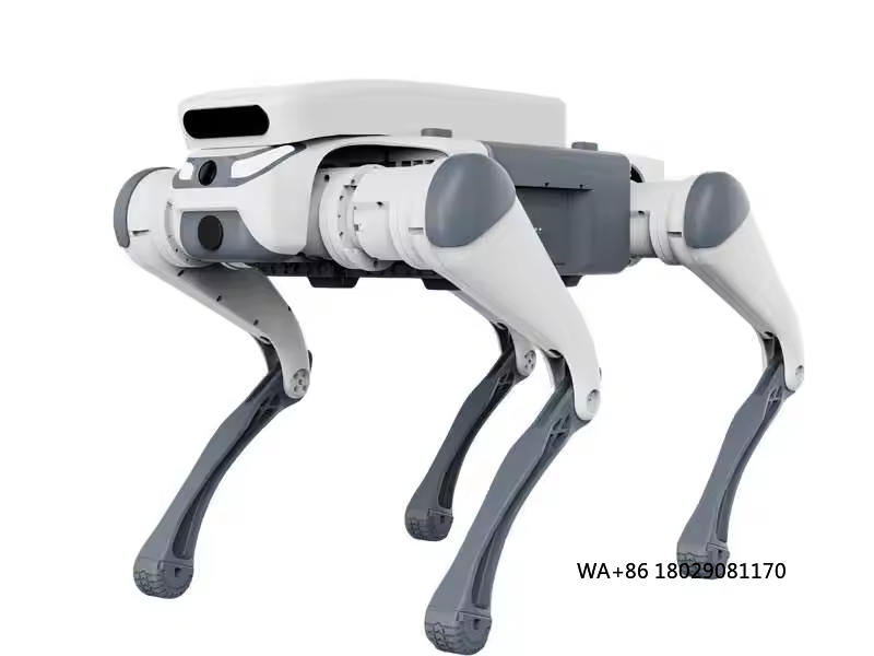 stunt remote control education - Dog Toys ulasan dan harga