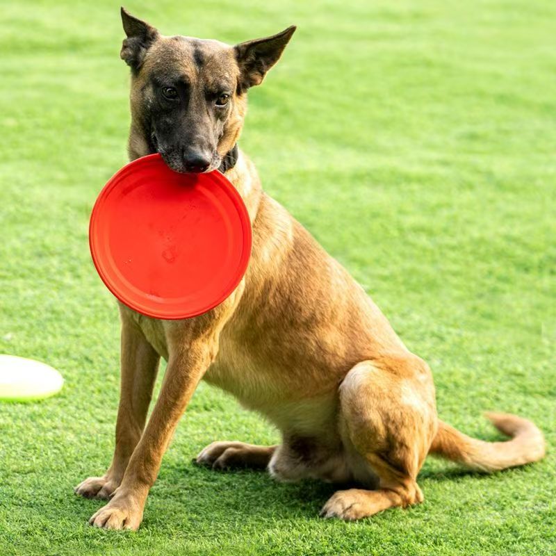 Hard Plastic Dog Frisbee  Paw  - Flying Disc Dog Training Toy ulasan dan harga