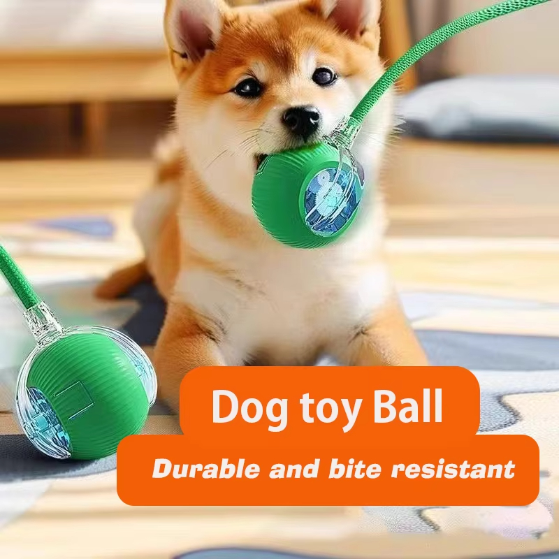 New Dog Interactive Ball Toy A - Automatic Moving Dog Ball ulasan dan harga