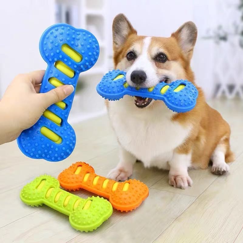 Rubber Bone Dog Molar Stick No - Teeth Cleaning Dog Chew Bone ulasan dan harga