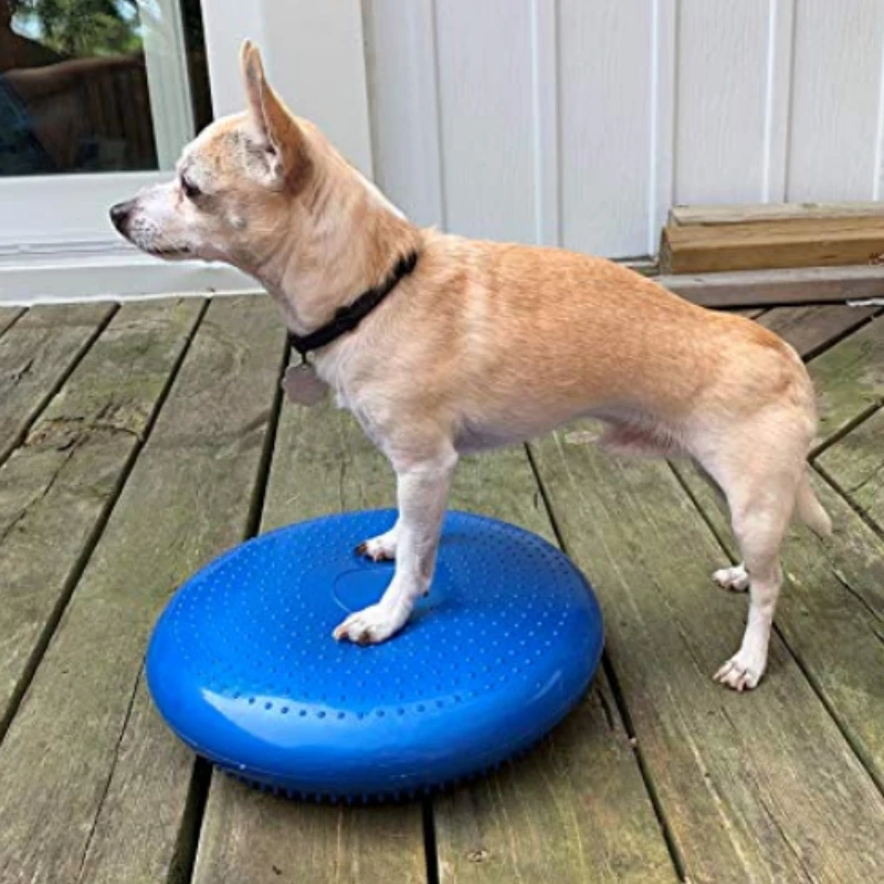 Dogs Training Aids Balance Fly - Flying Disc Dog Training Toy ulasan dan harga