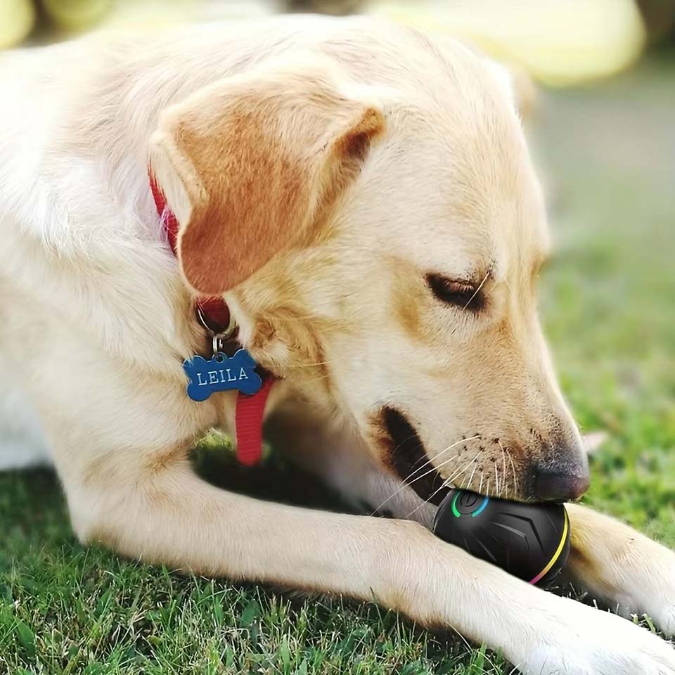 Interactive Smart Dogs Toys Ba - Automatic Moving Dog Ball ulasan dan harga