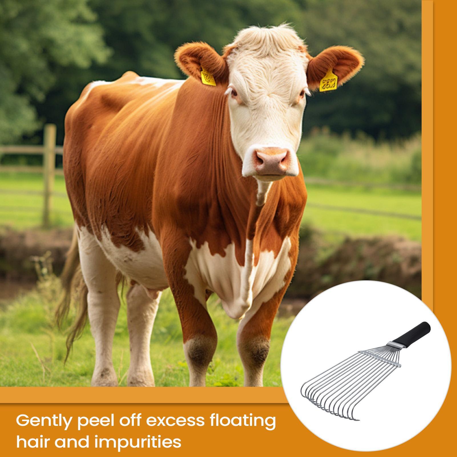 Horse Grooming Rake Shedding B - Pet Grooming ulasan dan harga