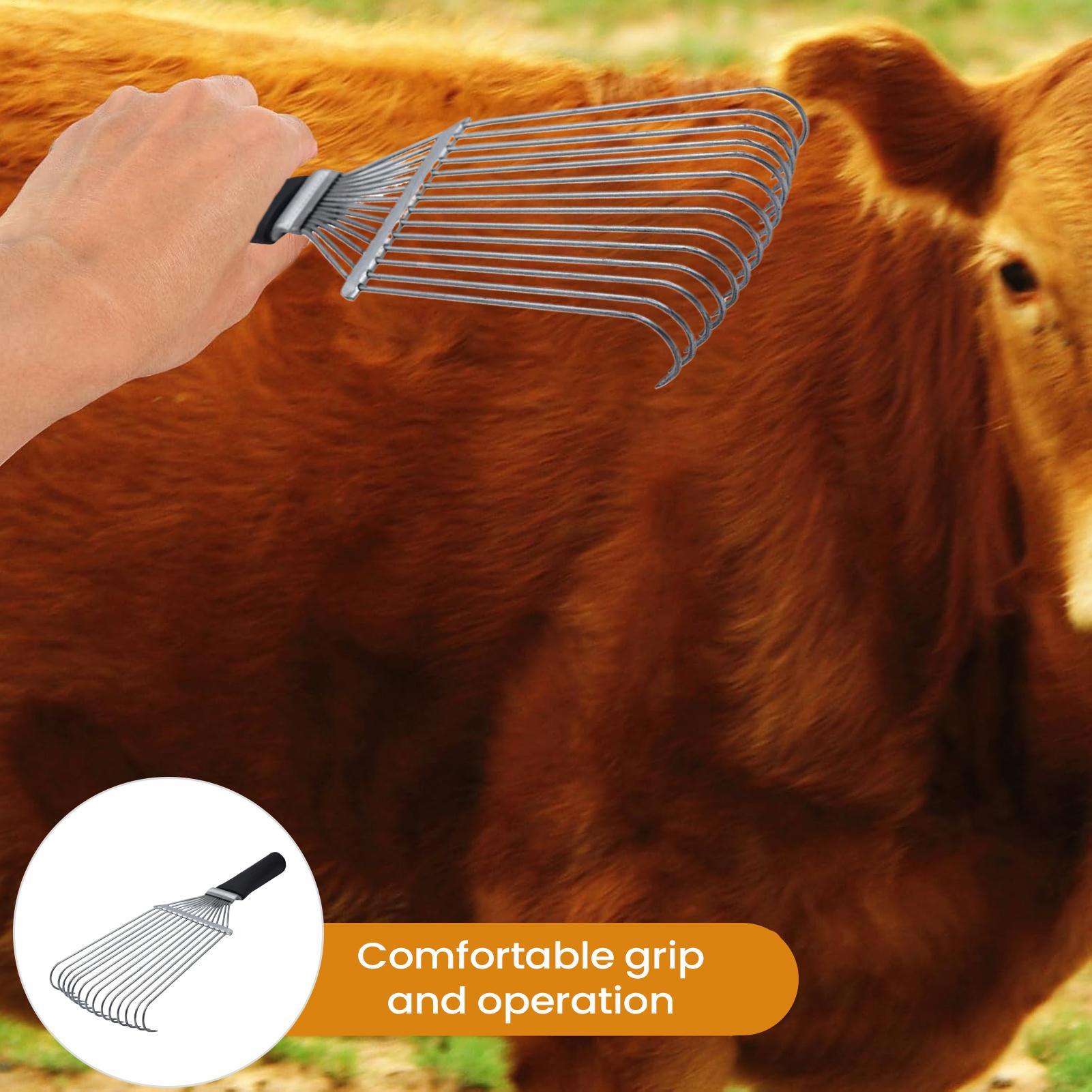 Horse Grooming Rake Shedding B - Pet Grooming ulasan dan harga
