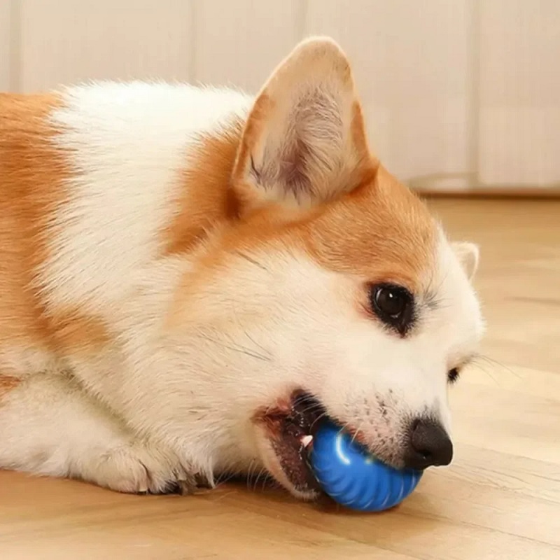 Dog Toy Ball Automatic Moving  - Automatic Moving Dog Ball ulasan dan harga
