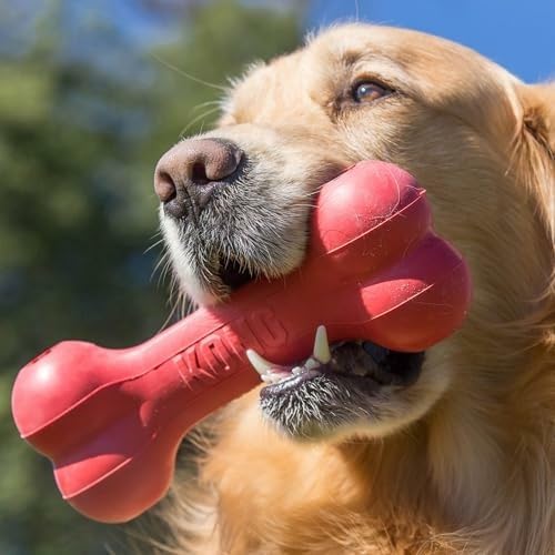 Classic Durable Natural Rubber - Rubber Treat Dispensing Dog Toy ulasan dan harga