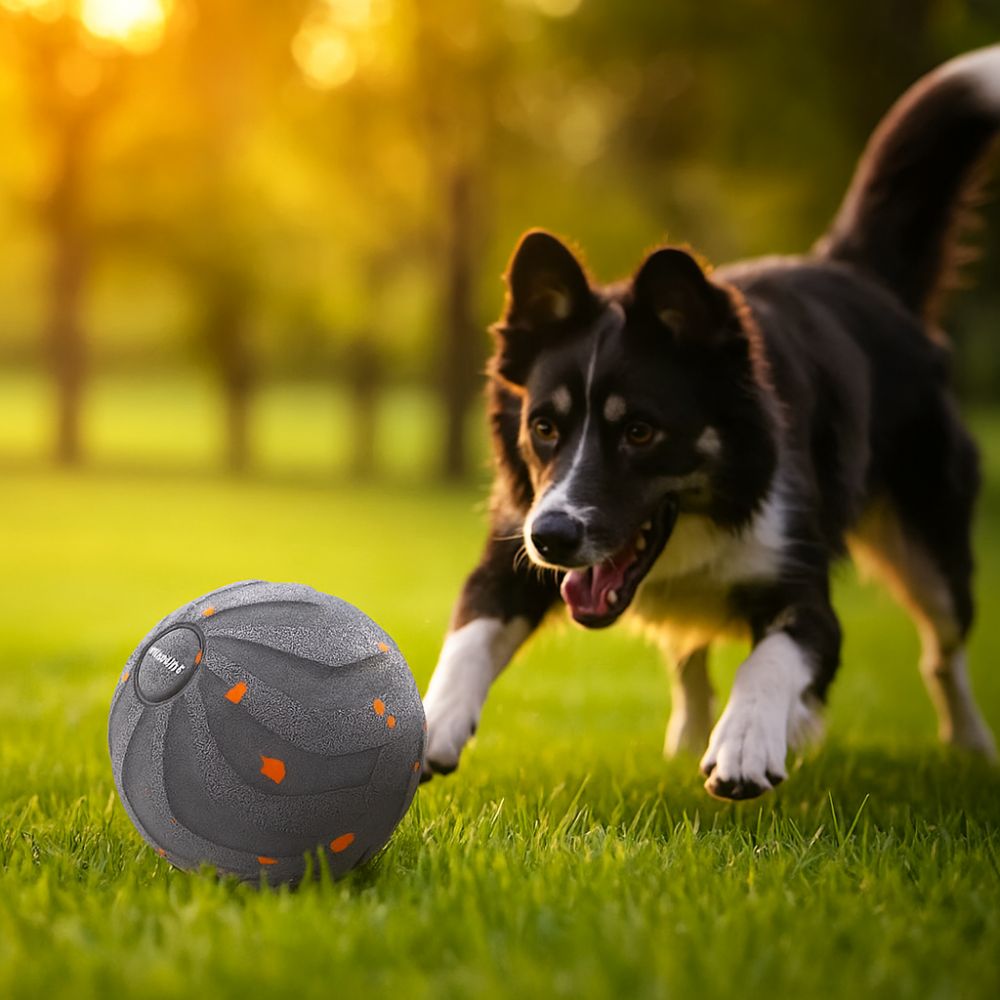 Bite Resistant Smart Dog Toy B - Automatic Moving Dog Ball ulasan dan harga