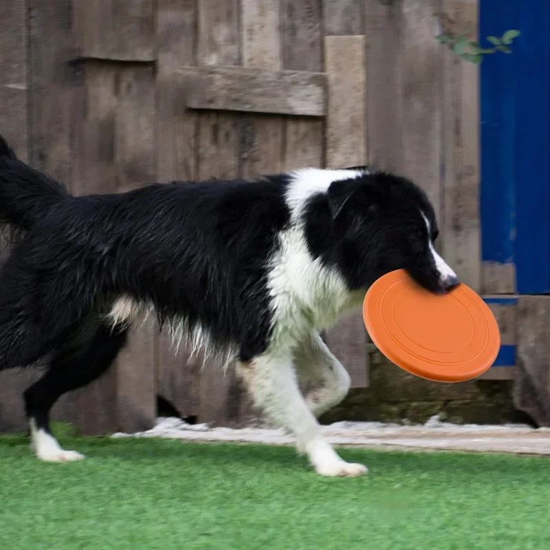 Silicone Flying Saucer Funny D - Flying Disc Dog Training Toy ulasan dan harga