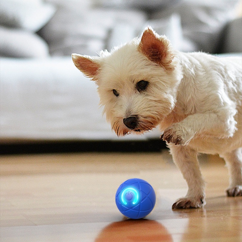 Smart Dog Toy Ball USB Automat - Automatic Moving Dog Ball ulasan dan harga