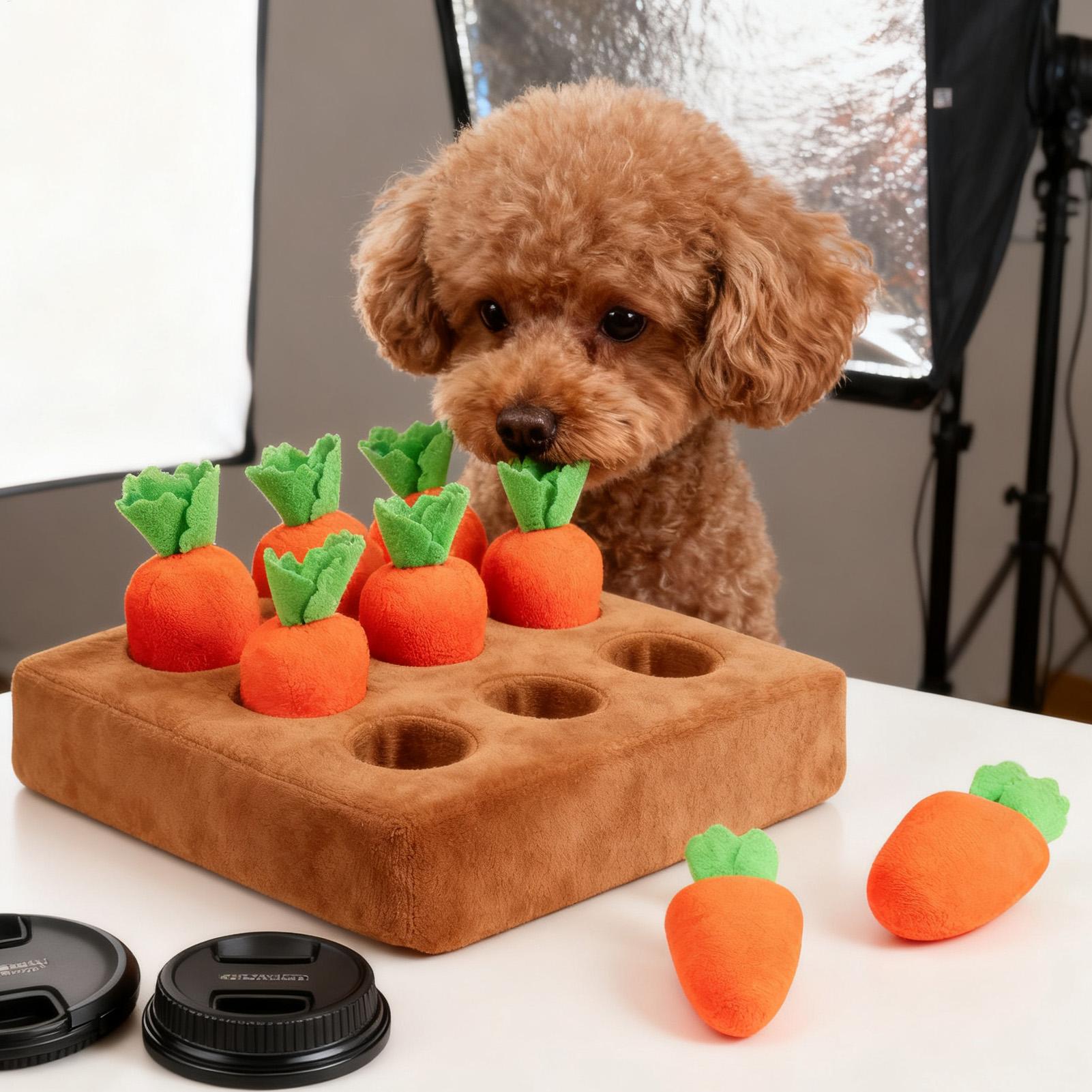 Pet Carrot Interactive Toys Do - Snuffle Mat For Dogs ulasan dan harga