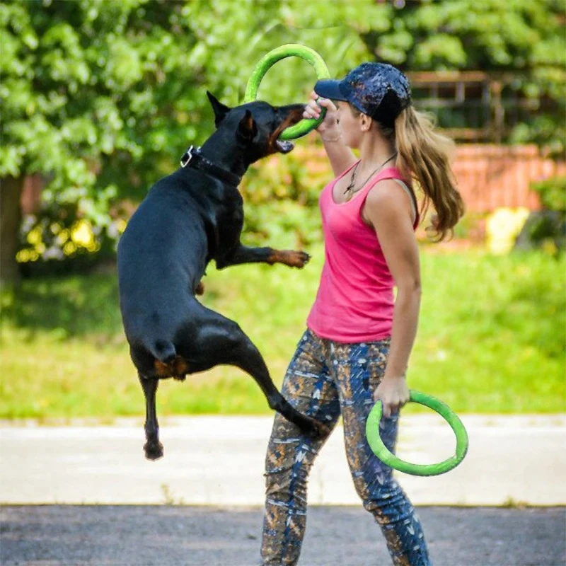Dog Toys Pet Flying Discs EVA  - Suction Cup Dog Tug Toy ulasan dan harga