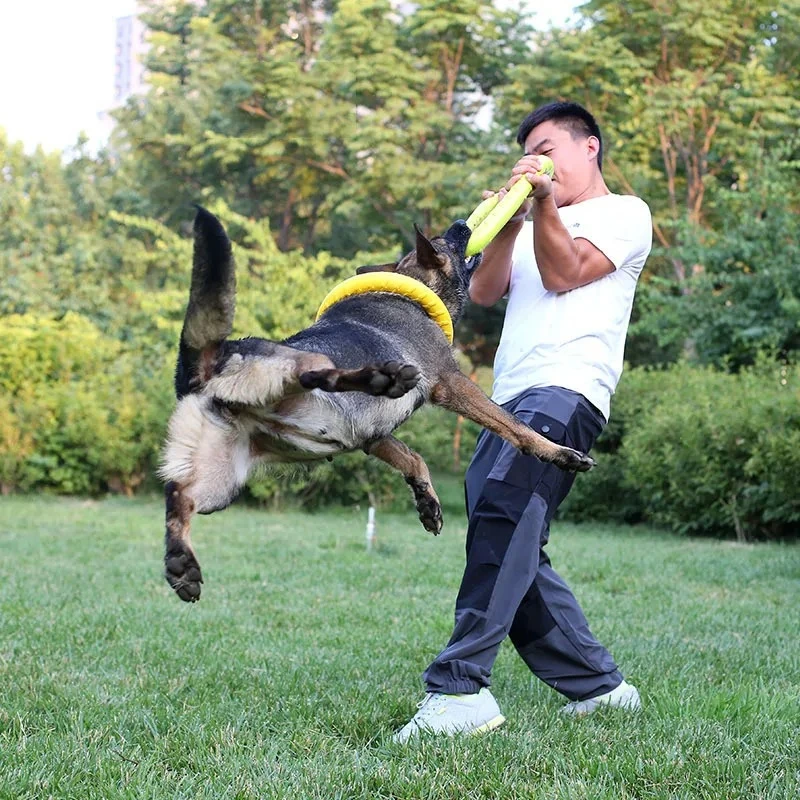 Dog Toys Pet Flying Discs EVA  - Suction Cup Dog Tug Toy ulasan dan harga