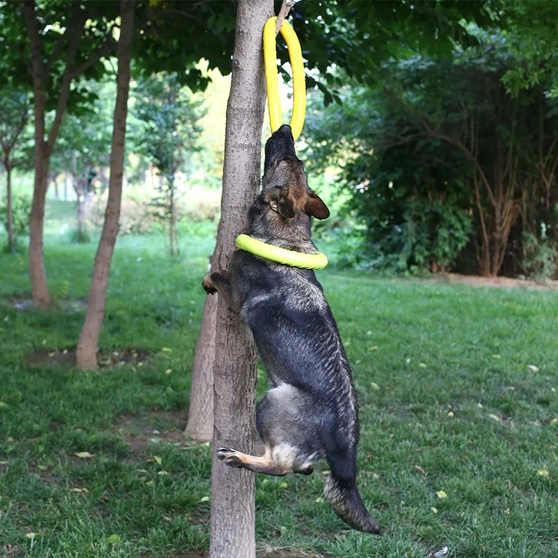 Dog Toys Pet Flying Discs EVA  - Suction Cup Dog Tug Toy ulasan dan harga