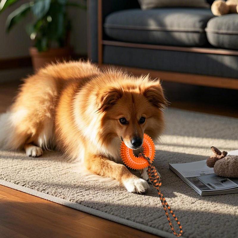 Squeaky Toys For Dogs Spiky Ri - Dog Rope Toy Aggressive Chewers ulasan dan harga