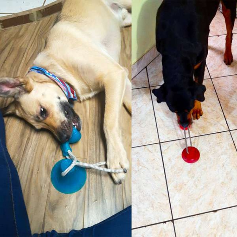 Durable Suction Cup Dog Tug To - Suction Cup Dog Tug Toy ulasan dan harga