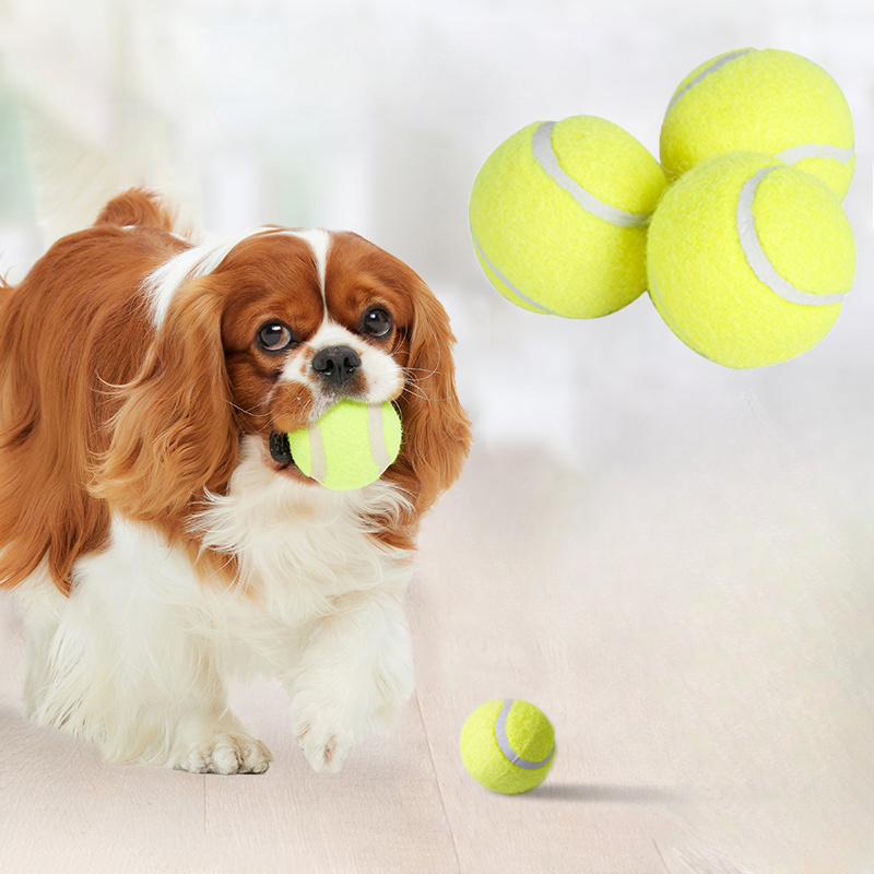 Interactive Striped Rubber Ten - Interactive Squeaky Plush Dog Toy ulasan dan harga