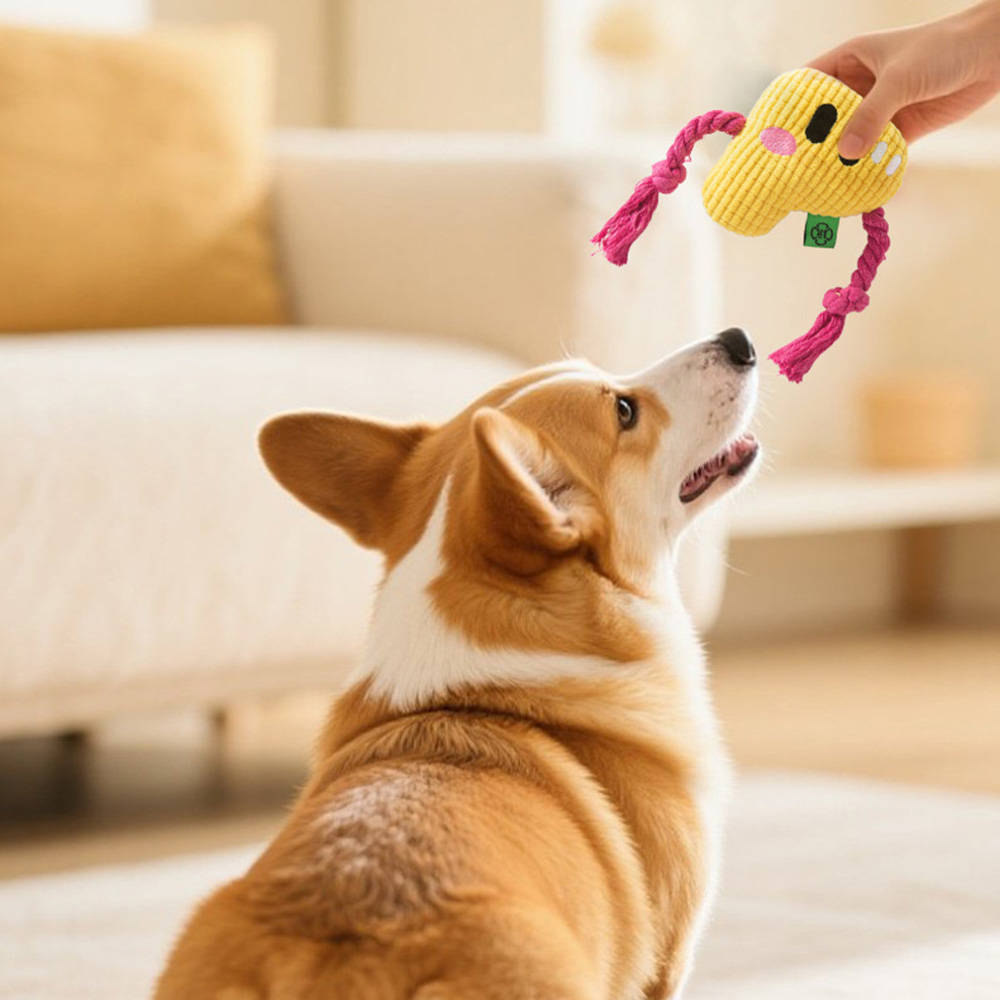 Dog Chew Toy - Durable Rope Kn - Dog Rope Toy Aggressive Chewers ulasan dan harga