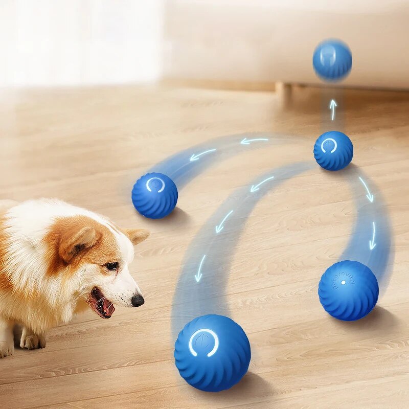 Dog Toys Intelligent Gravity J - Suction Cup Dog Tug Toy ulasan dan harga