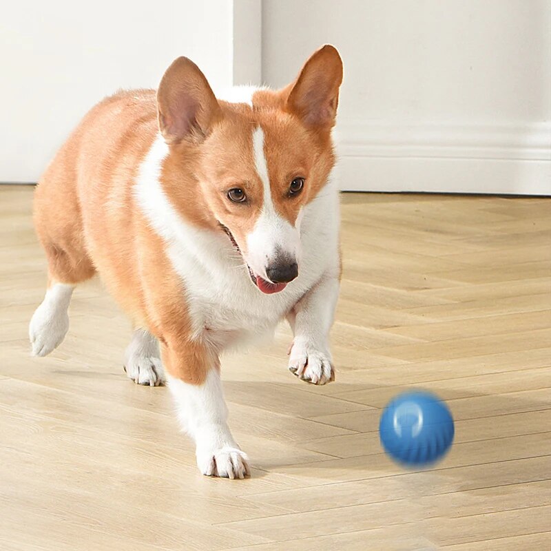 Dog Toys Intelligent Gravity J - Suction Cup Dog Tug Toy ulasan dan harga