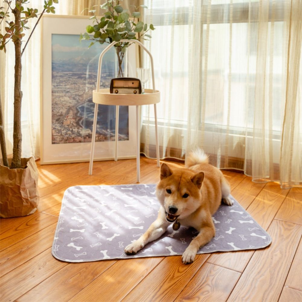 Durable Super Absorbent Pet Be - Pet Beds ulasan dan harga