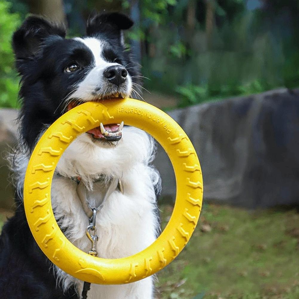 Dog Ring Toys Indestructible C - Indestructible Dog Chew Toy ulasan dan harga