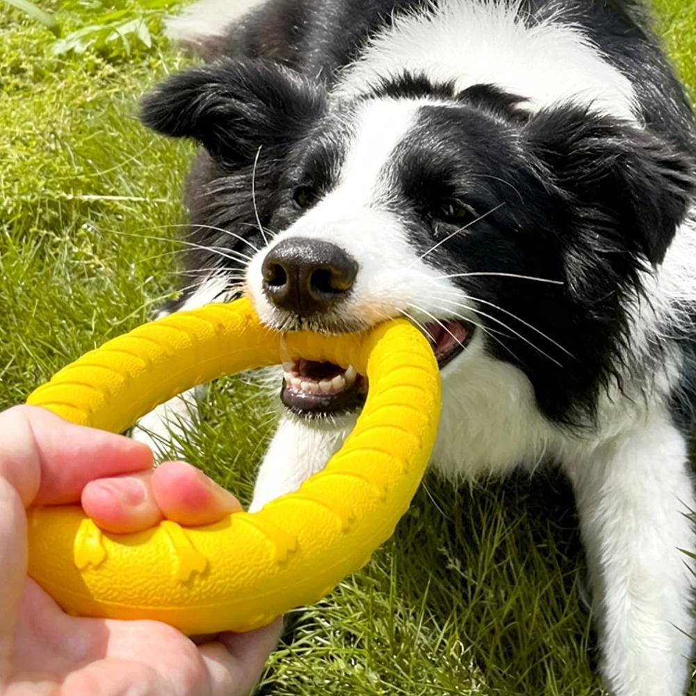Dog Ring Toys Indestructible C - Indestructible Dog Chew Toy ulasan dan harga