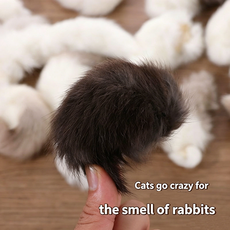2Pcs Natural Rabbit Tail Cat T - Interactive Squeaky Plush Dog Toy ulasan dan harga