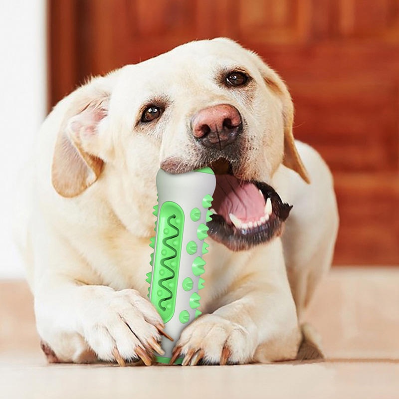 TPR Dog Molar Stick Chew Toy D - Teeth Cleaning Dog Chew Bone ulasan dan harga