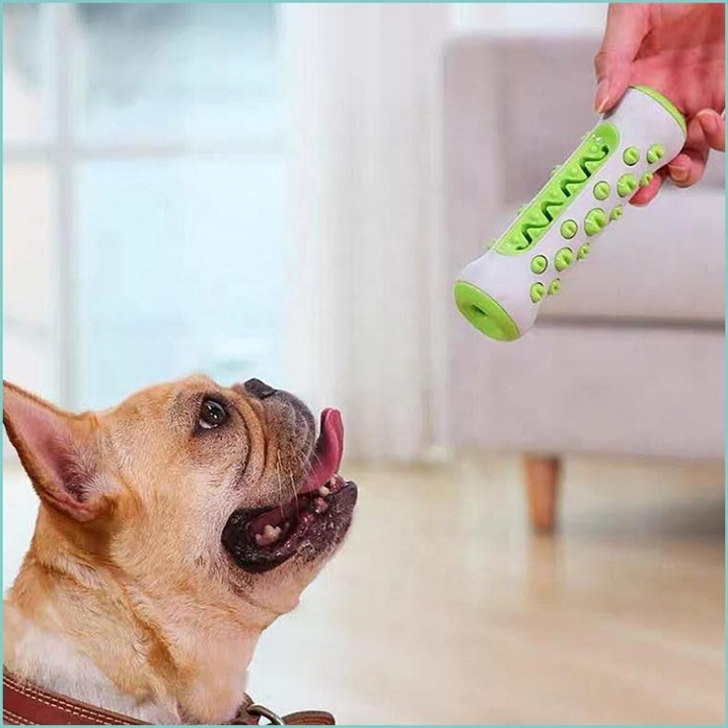 TPR Dog Molar Stick Chew Toy D - Teeth Cleaning Dog Chew Bone ulasan dan harga