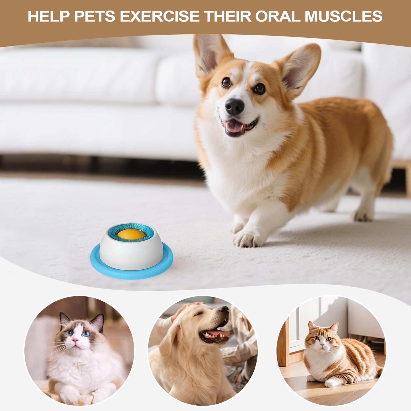 Dog Treat Toy Pet Feeding Acce - Dog Puzzle Feeder Toy ulasan dan harga