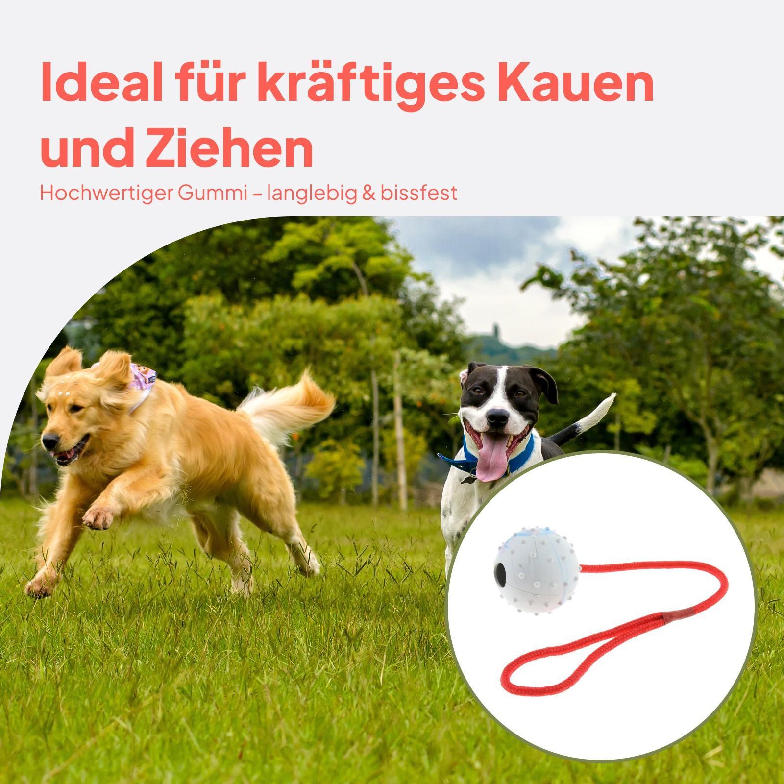 Pet Training Toy Soft Rubber C - Rubber Treat Dispensing Dog Toy ulasan dan harga